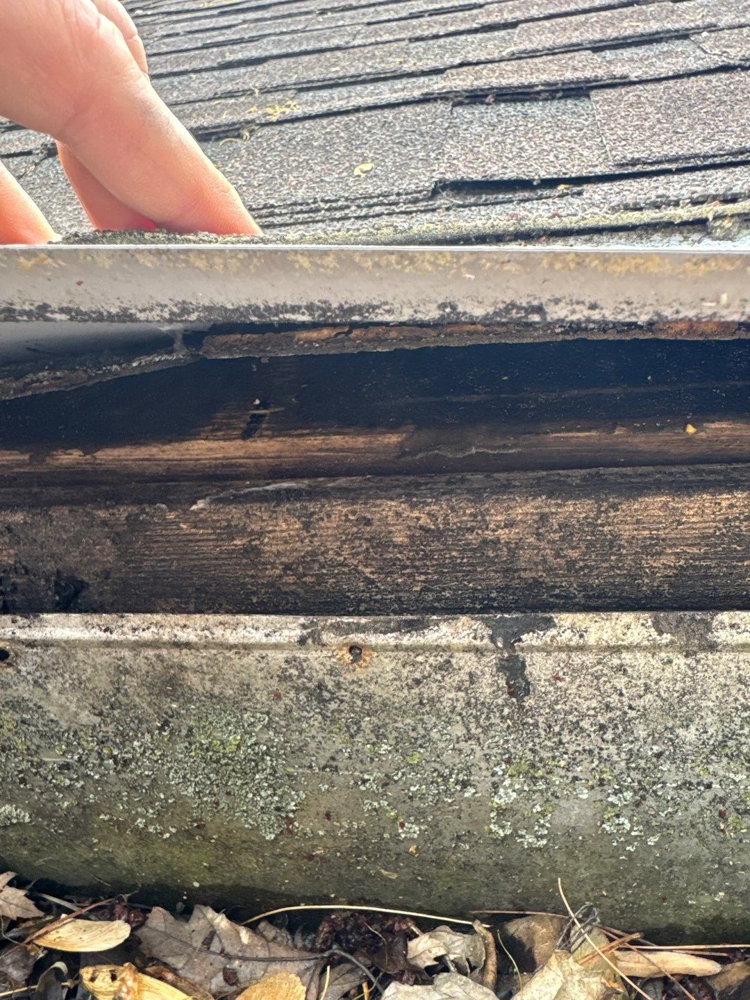Metal Roof Maintenance Tips for Ladoga Homes
